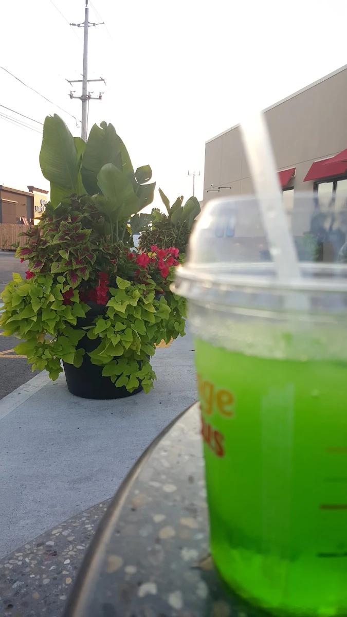 Lemon Lime Slushies