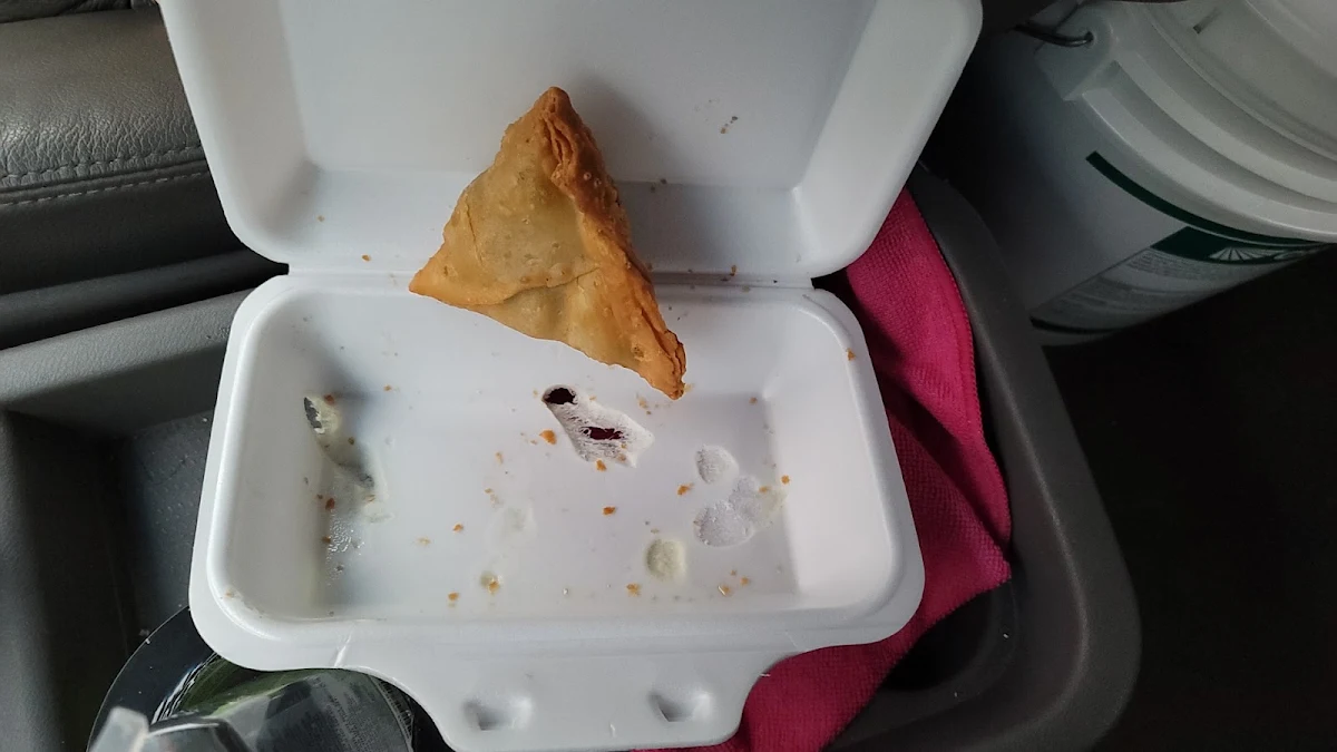 Samosa Pizza Slices