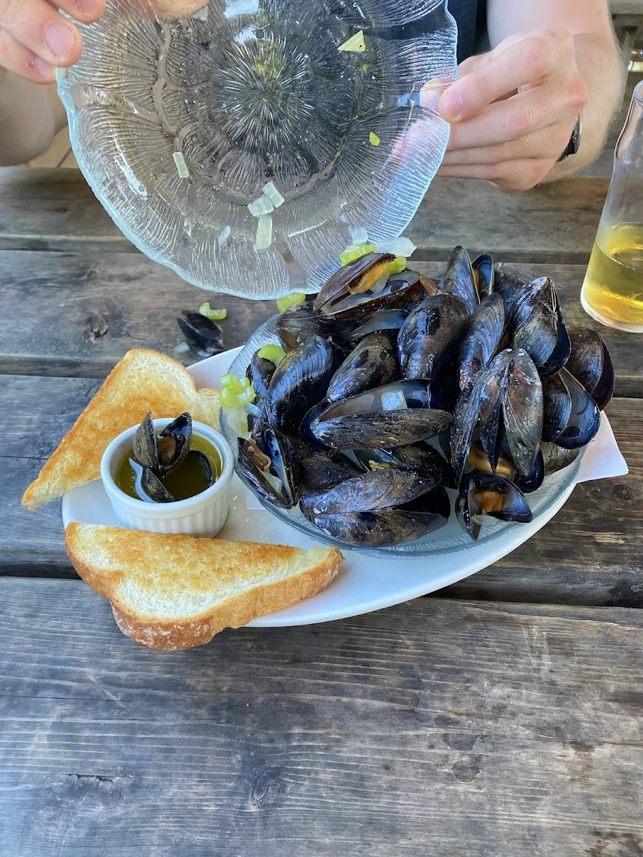 Fresh Steamed Mussels