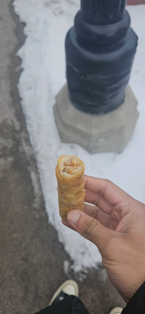 Pork Spring Roll