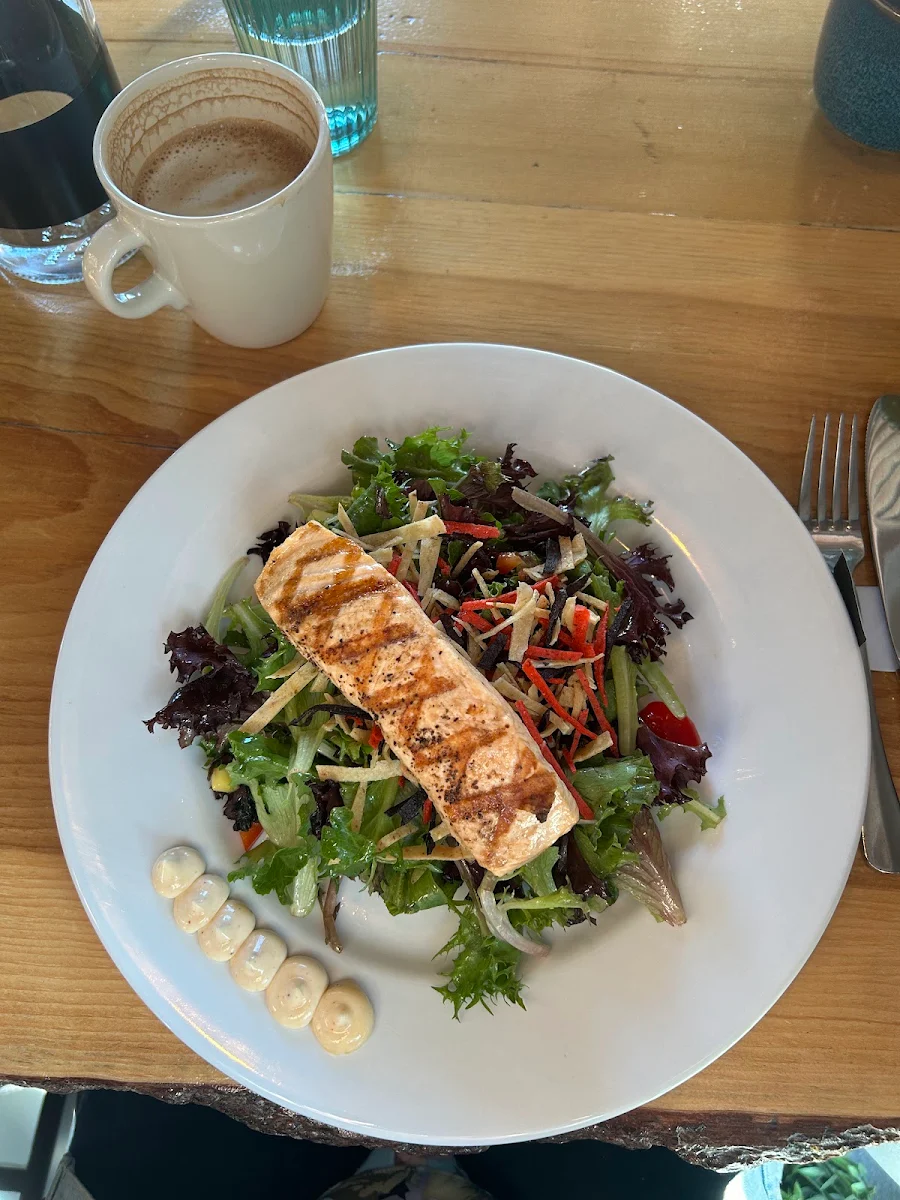 Seared Salmon Salad