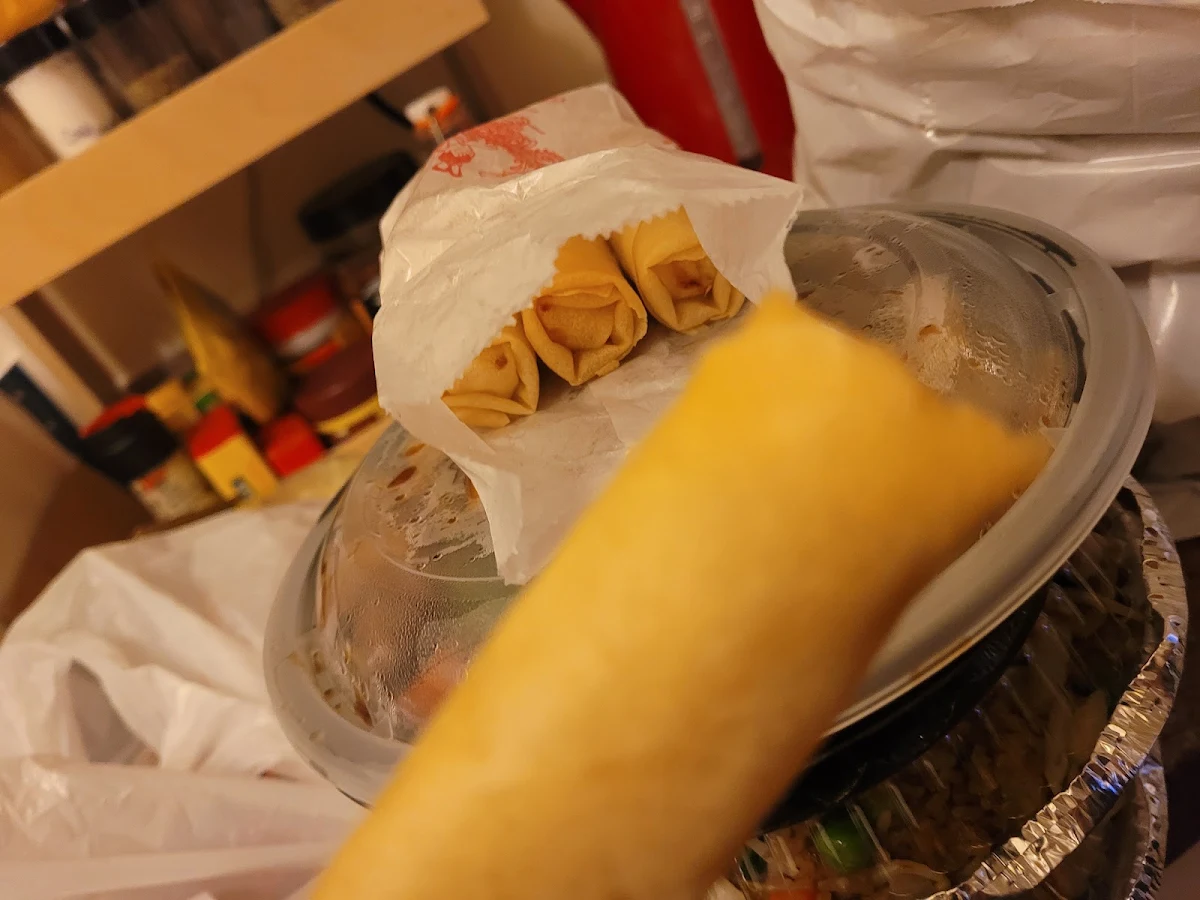 Spring Rolls 2
