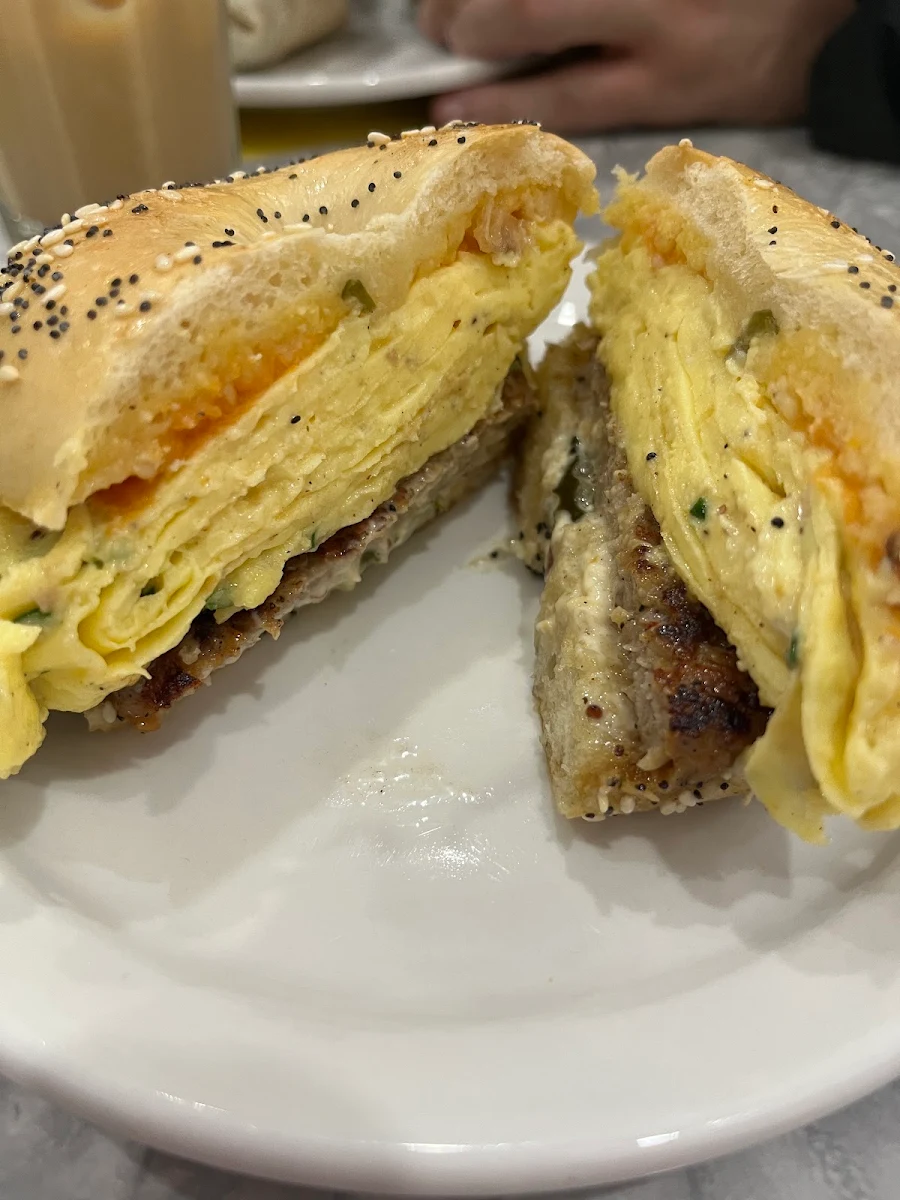 Everything Bagel Sandwich
