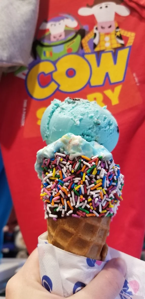 Cowkie Moonster Birthday Cake with Chocolate Sprinkle Cone