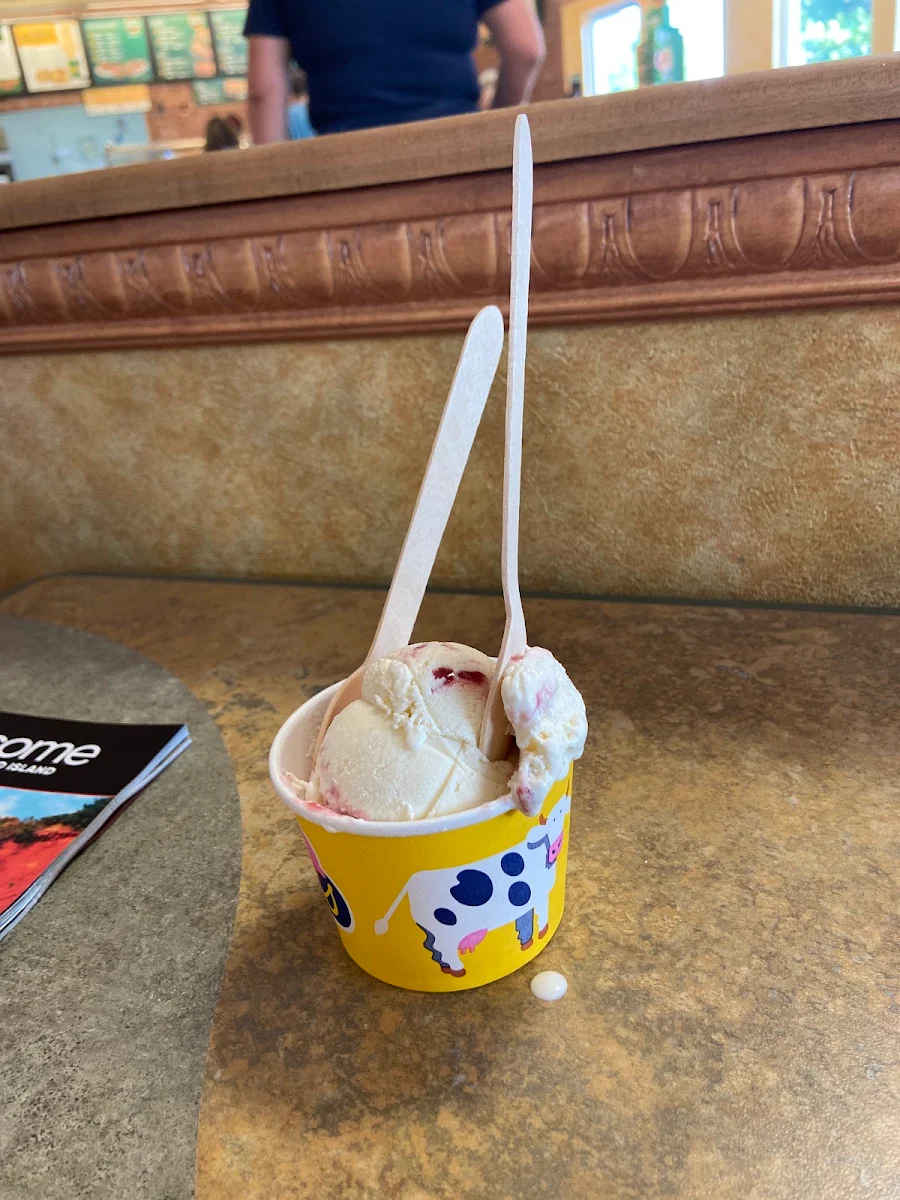 Vanilla Ice Cream