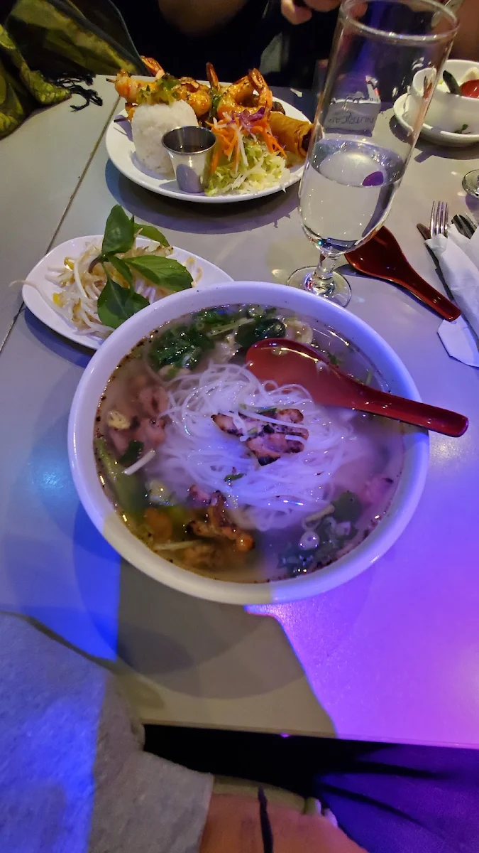 Chicken and Vegetable Soup Tonkinoise Vietnamese Soup