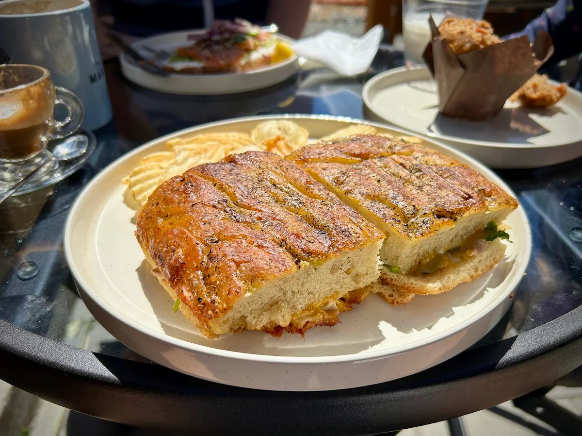 Spicy Tuna Panini