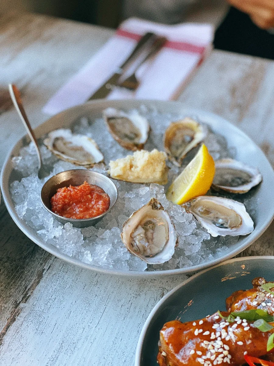Fresh Oysters