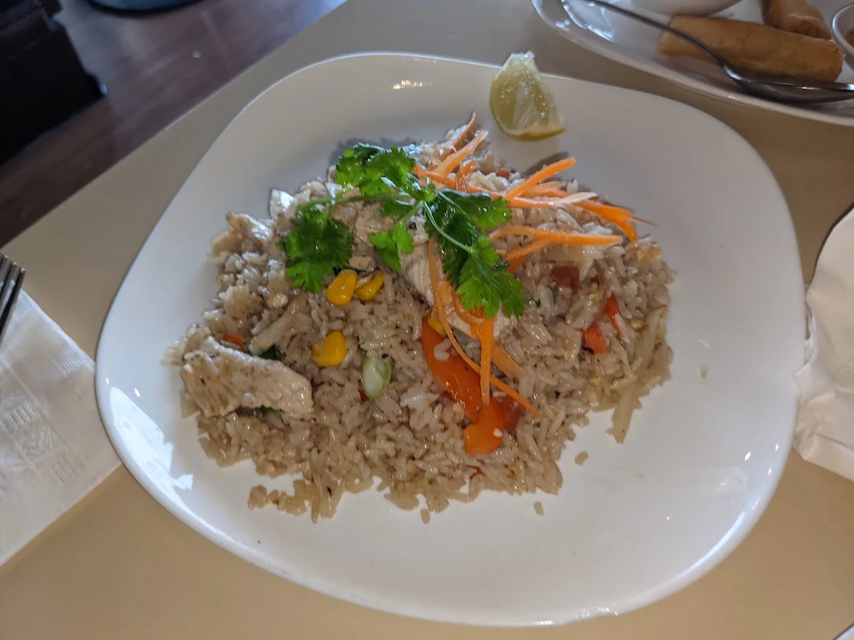 Chicken Fried Rice Chicken