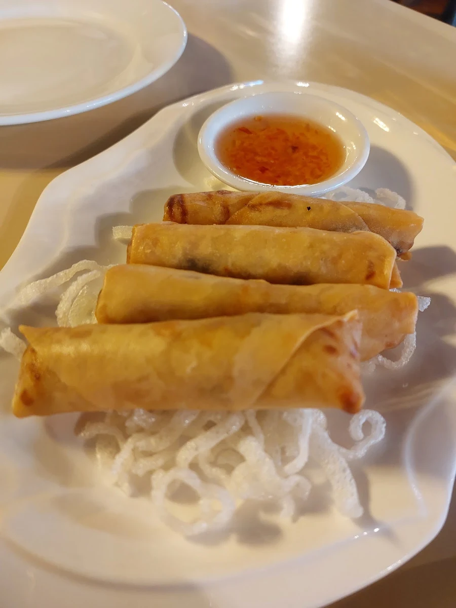 Veg Spring Rolls