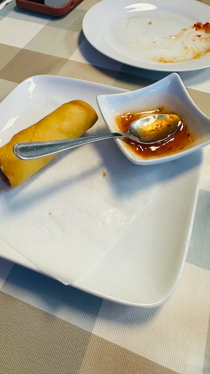 Frozen Spring Rolls