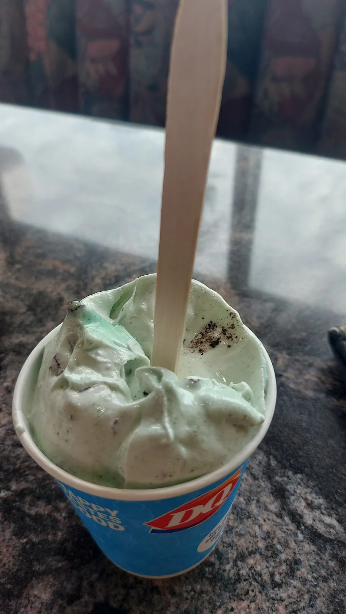 Mint Oreo Blizzard Treat