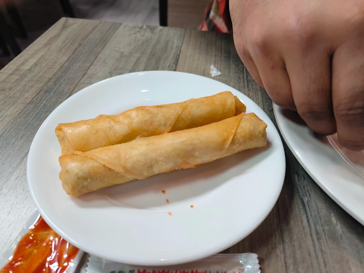 Chicken Curry Spring Rolls