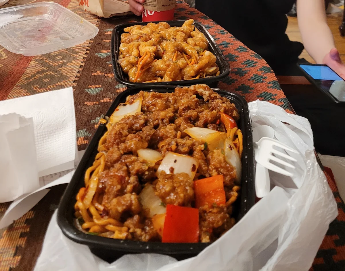 Chili Chicken and Spicy Hakka Noodles