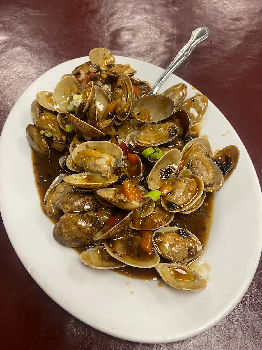 Clams with Black Bean Sauce