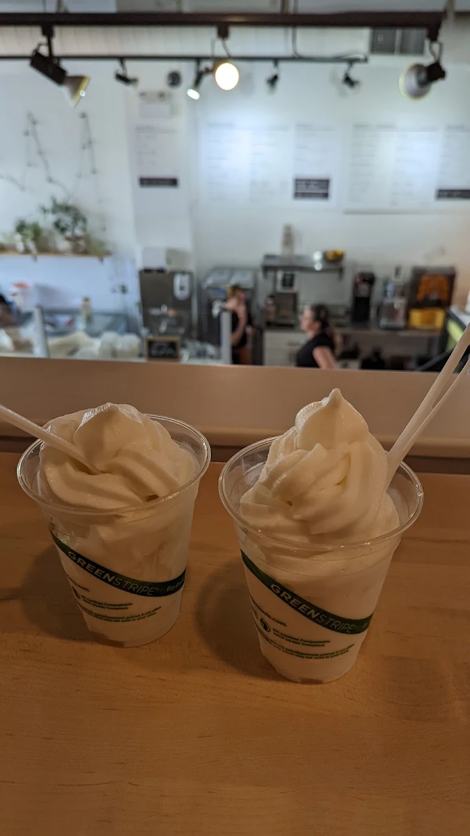 Frozen Yogurt