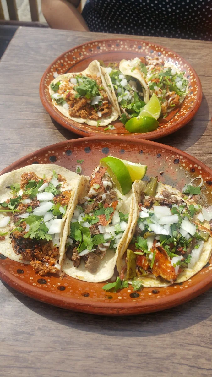 Carnitas Pork Carnitas