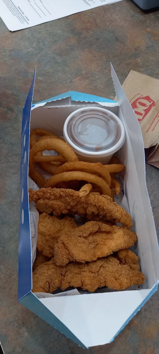 Chicken Strips and Onion Rings