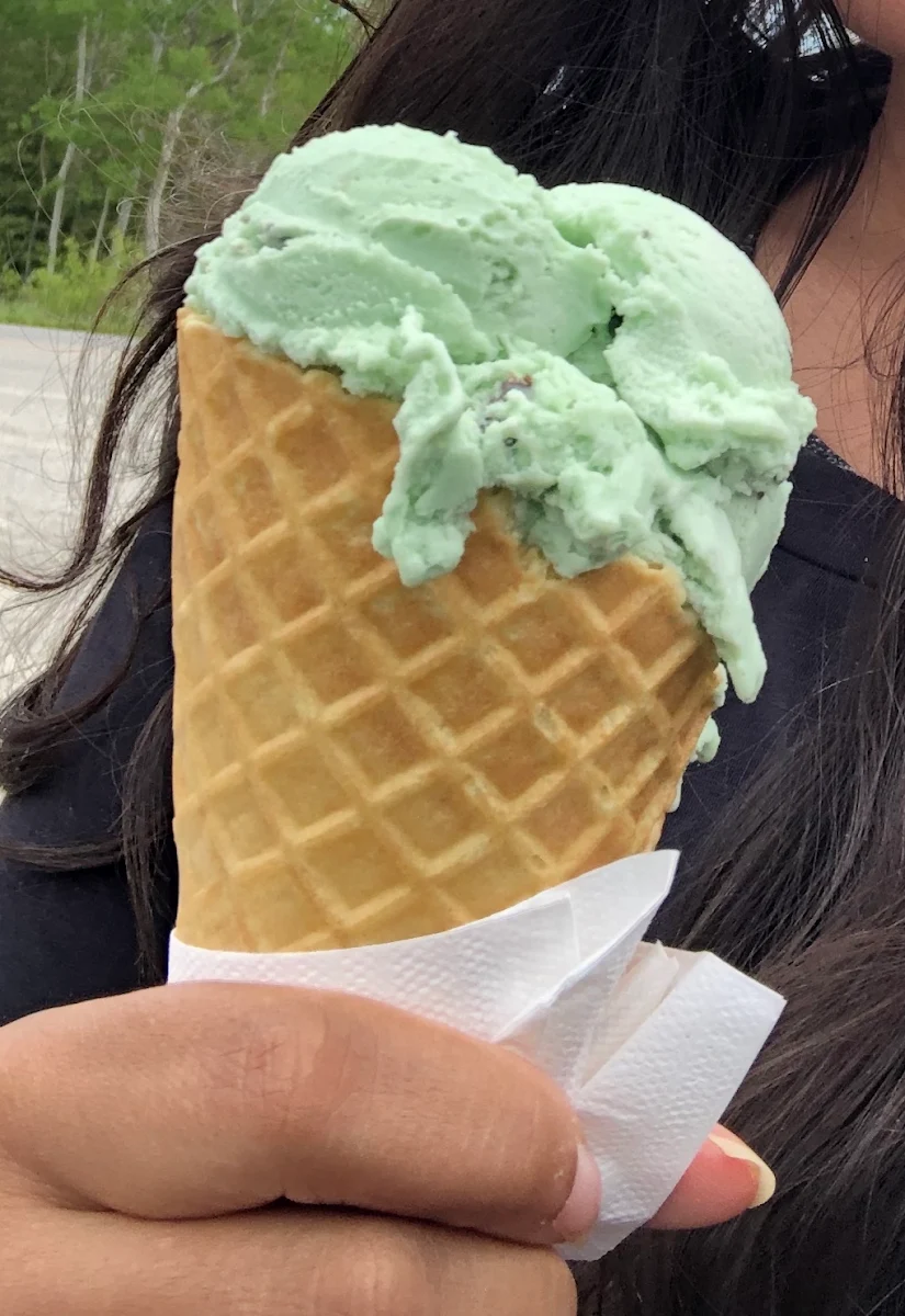 Mint Chip