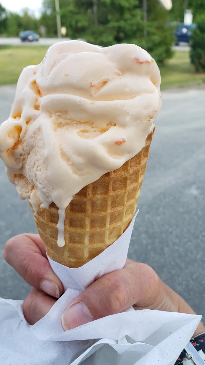 Orange Pineapple Icecream