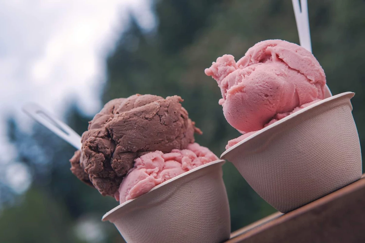 Vegan Chocolate & Vegan Strawberry Kiwi