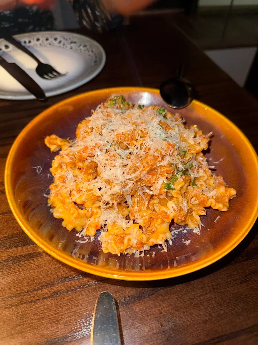 Braised Lamb Ragu