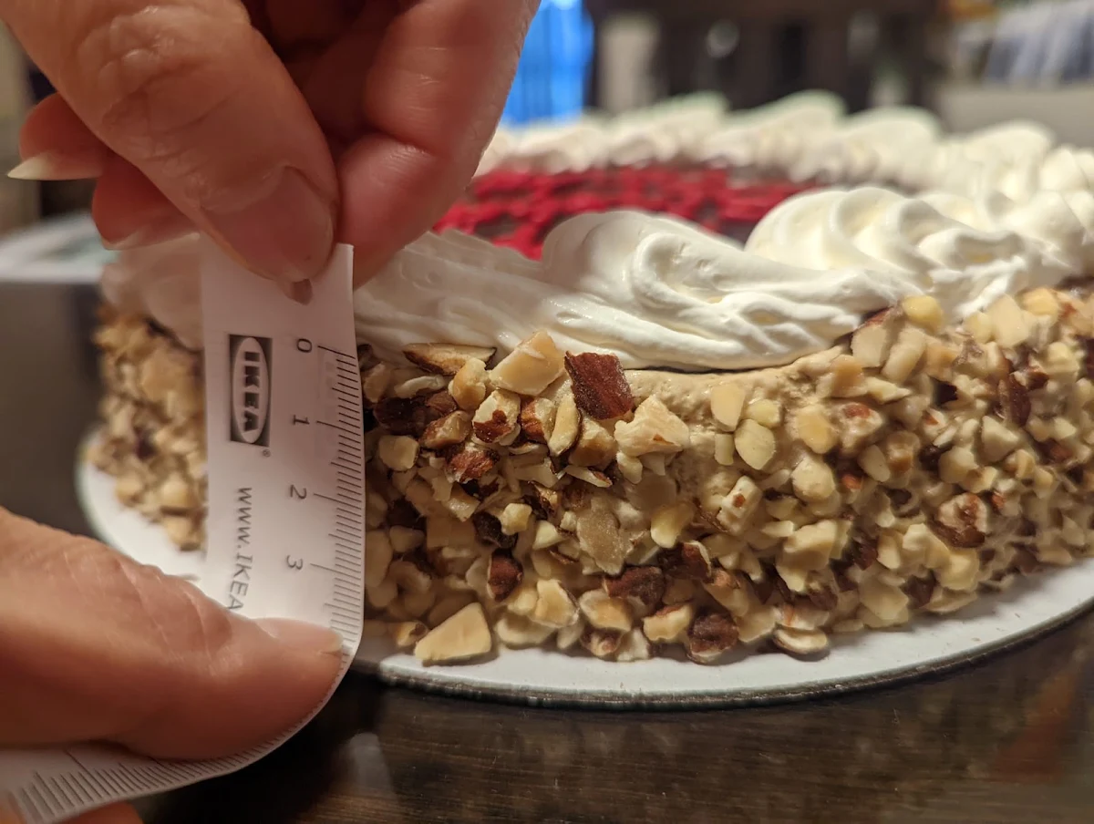 The Rip Off 9-In Wide Ice Cream Cake Pie with a 3-In Depth