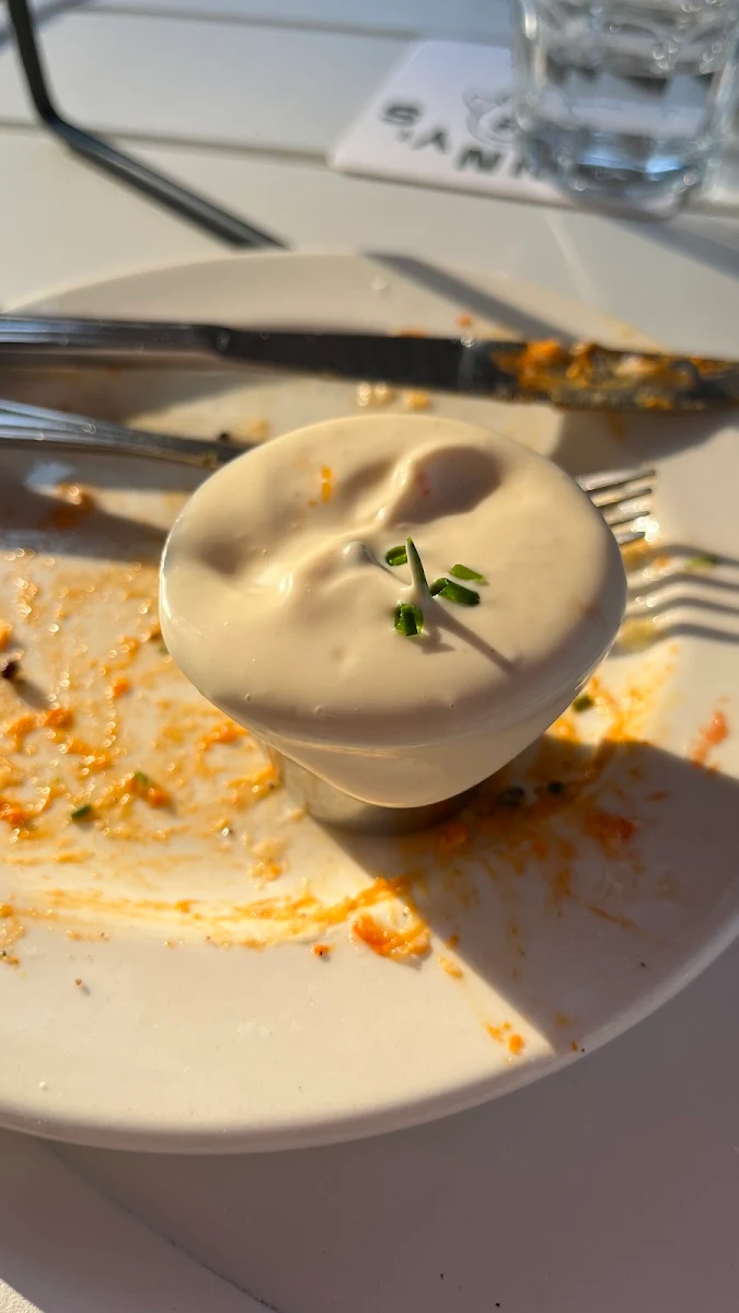 Garlic Dip