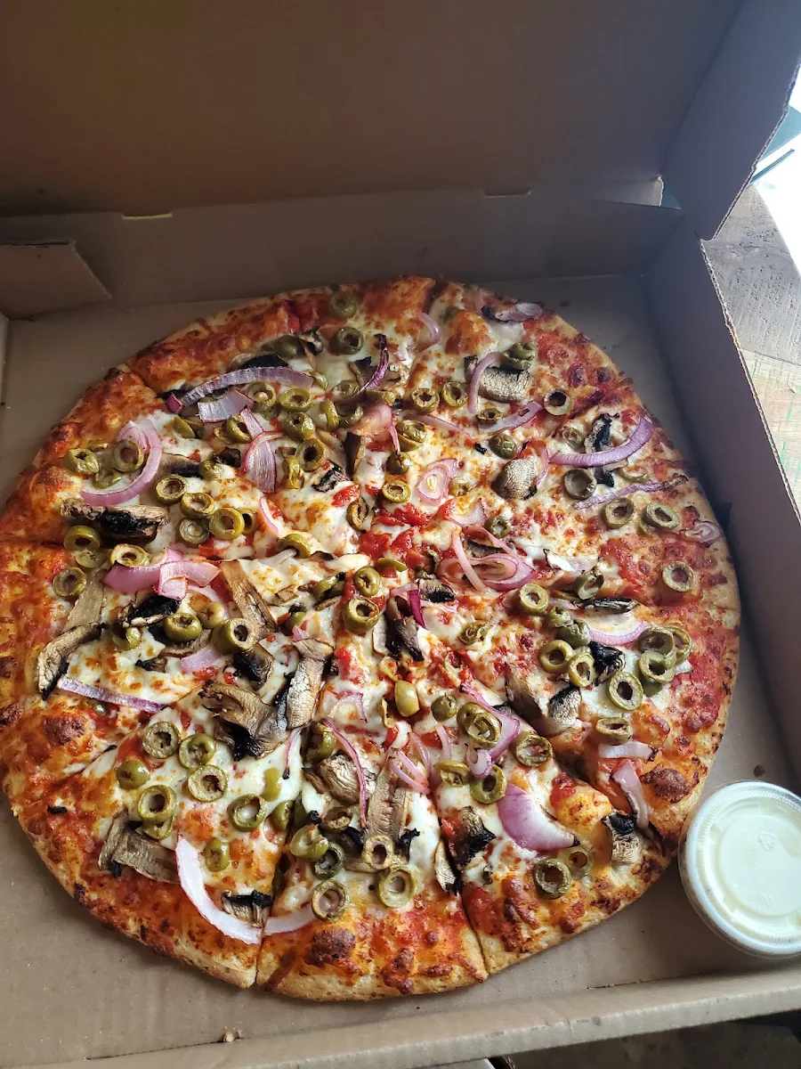 Large Pizza with Mushrooms Onions and Green Olives