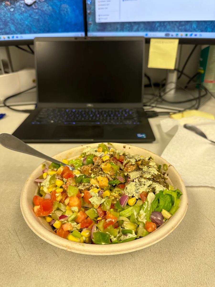 Burrito Bowl