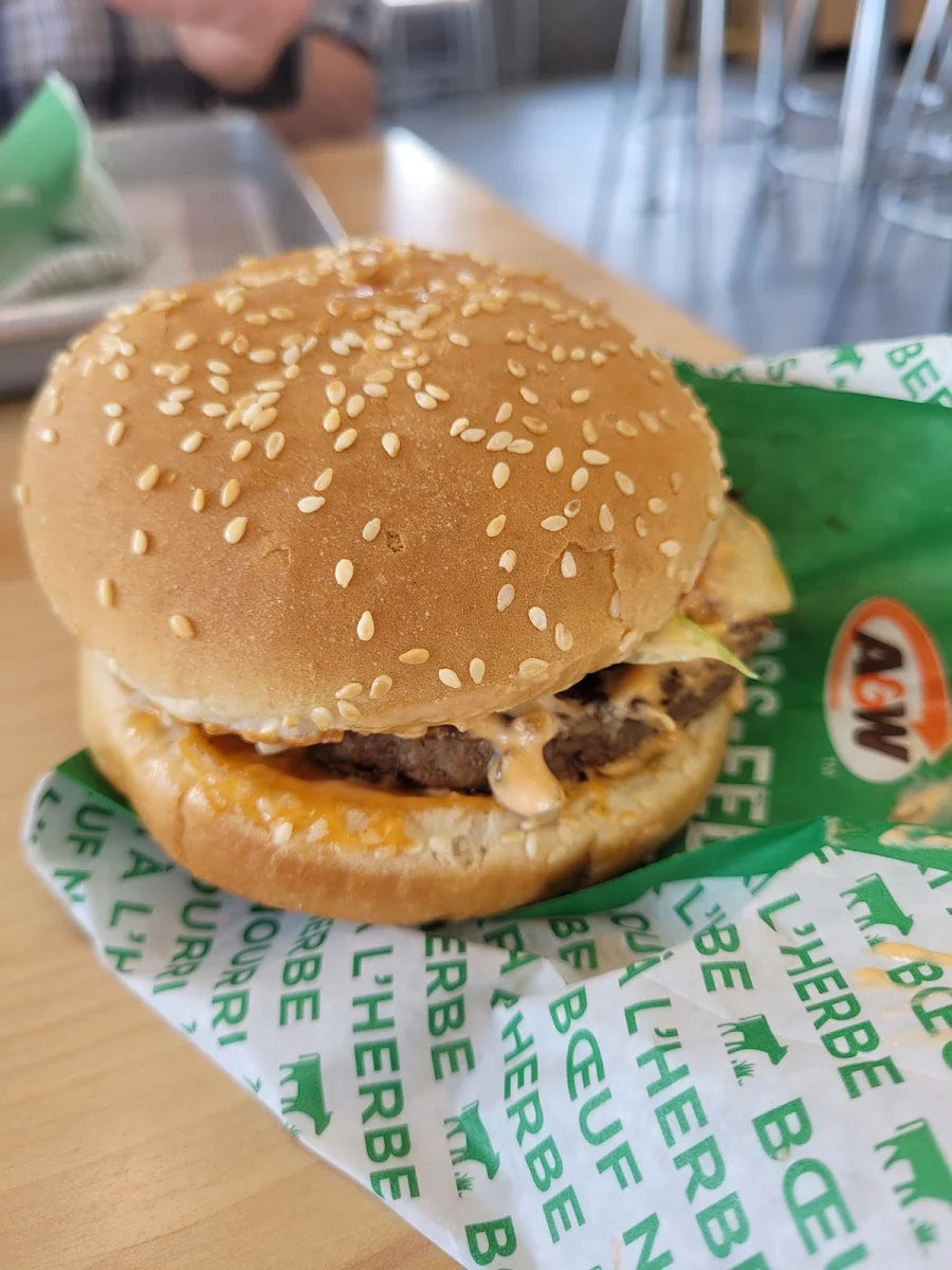 Mozzarella Burger Combo