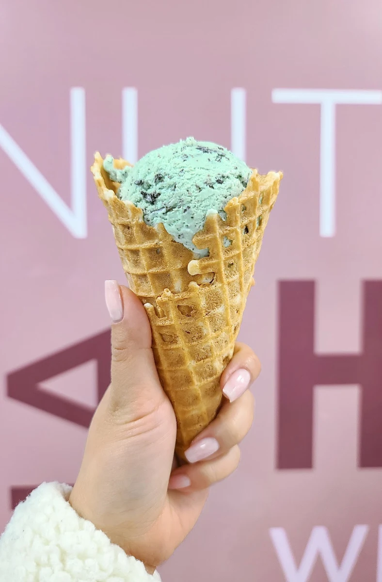 Mint Chocolate Waffle Cone