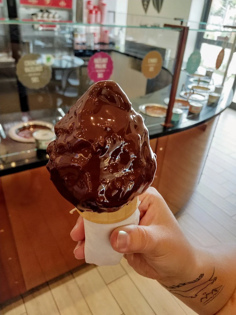 Chocolate Dipped