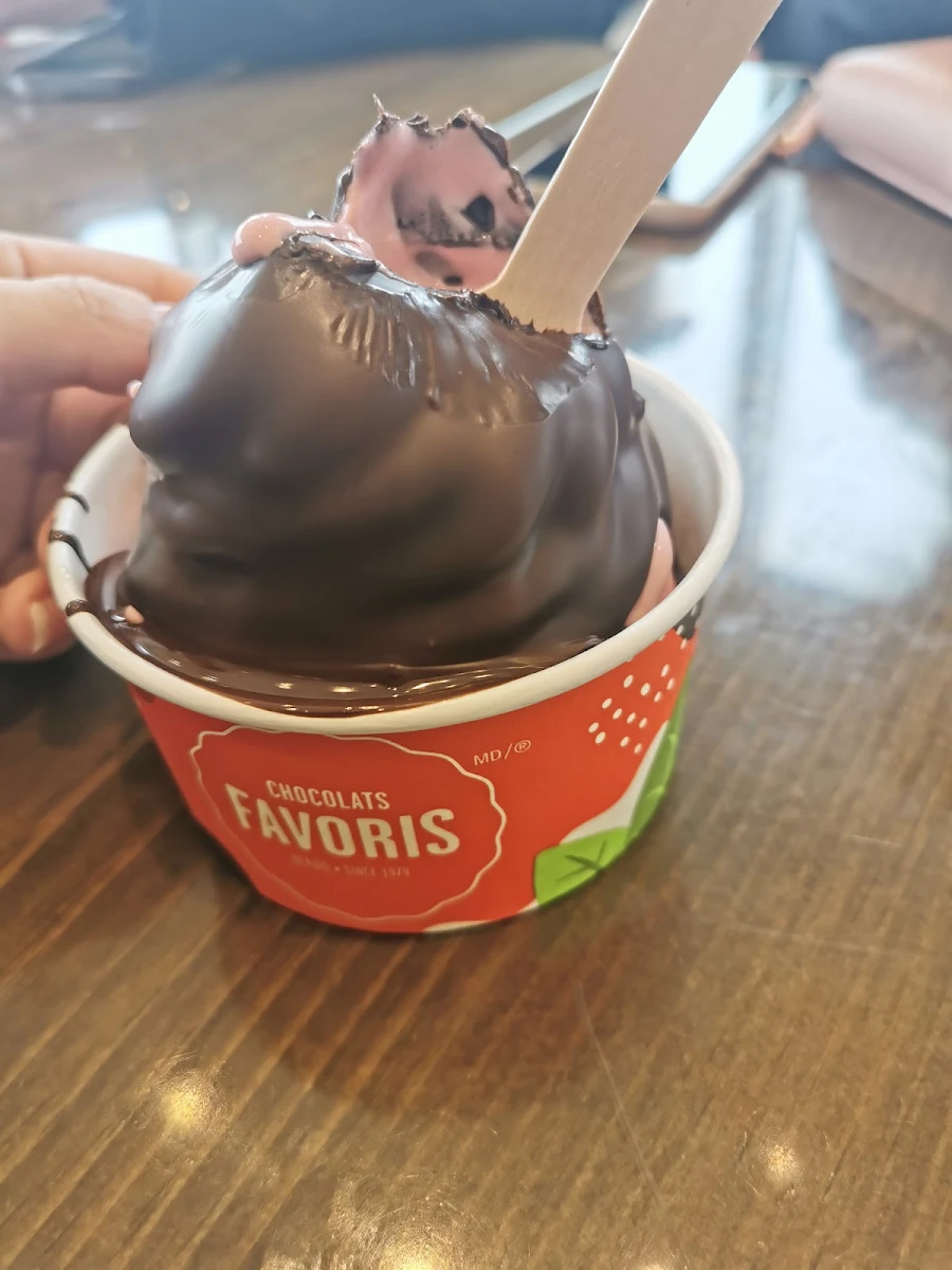 Raspberry Sorbet with Dark Chocolate Dipping Sauce