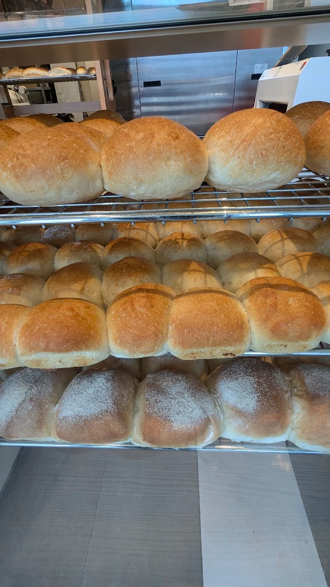 Dinner Rolls