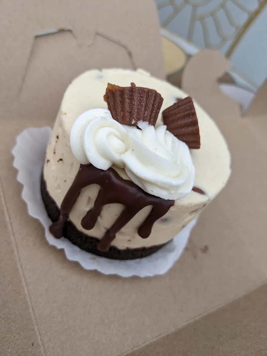 Peanut Butter Chocolate Cheesecake