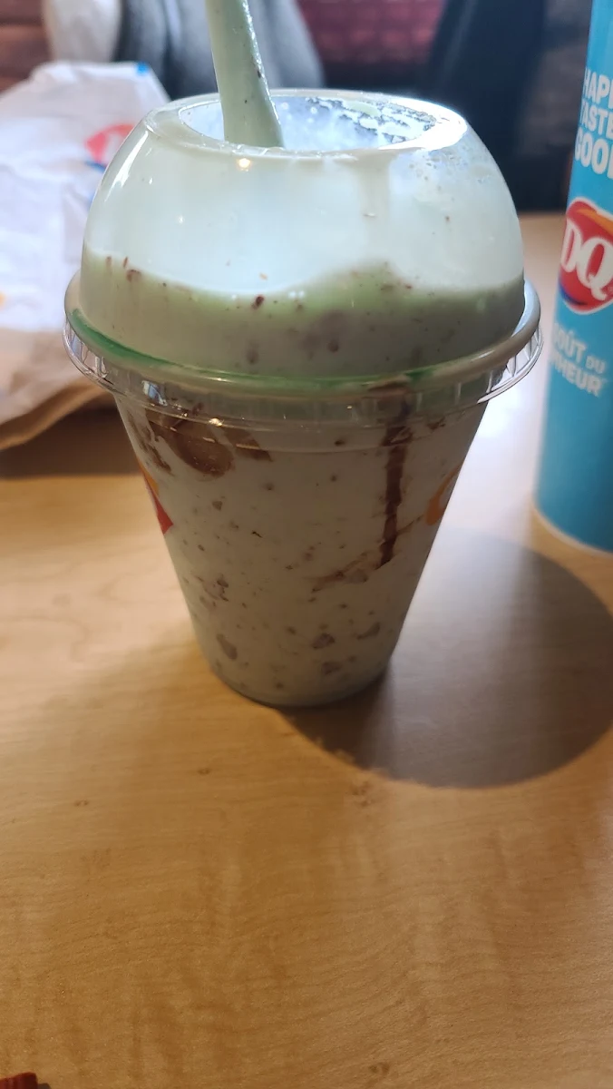 Mint Oreo Blizzard Treat