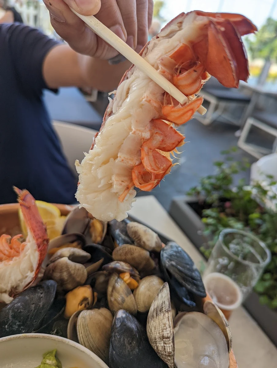 Filet & Lobster Tail
