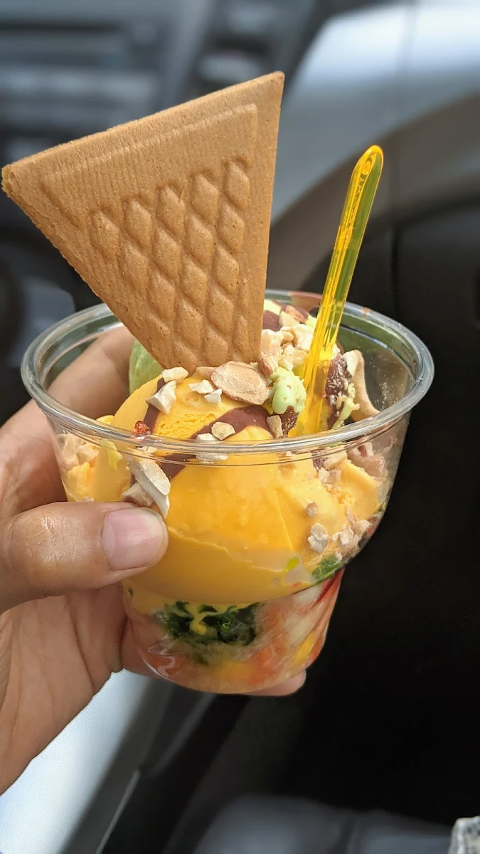 Fruit Salad Ice Cream Chocolate Ice Cream