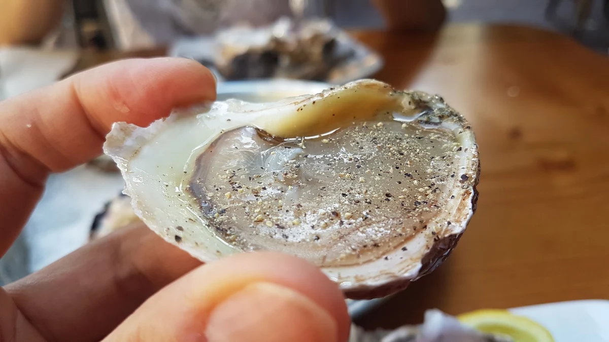 East Coast Oyster
