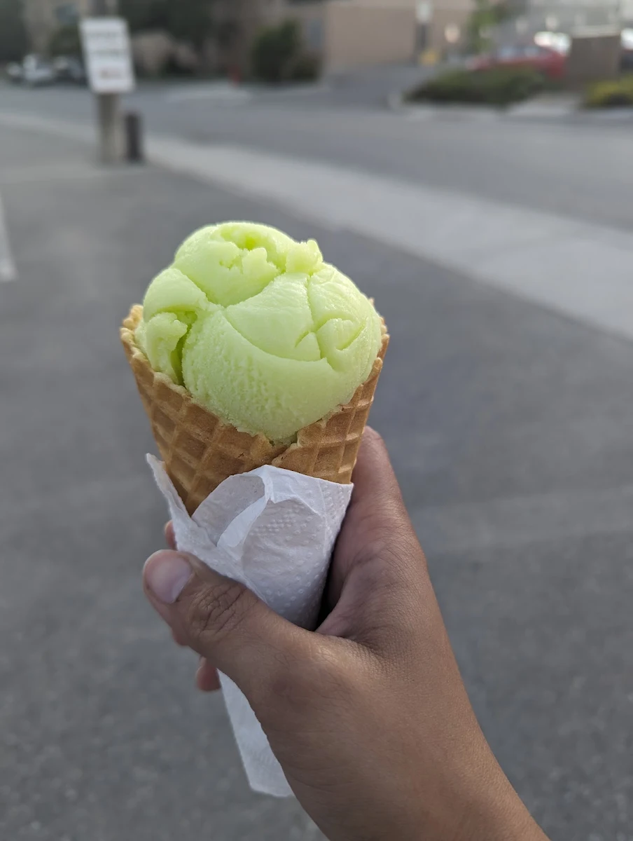 Lemon Lime Sorbet