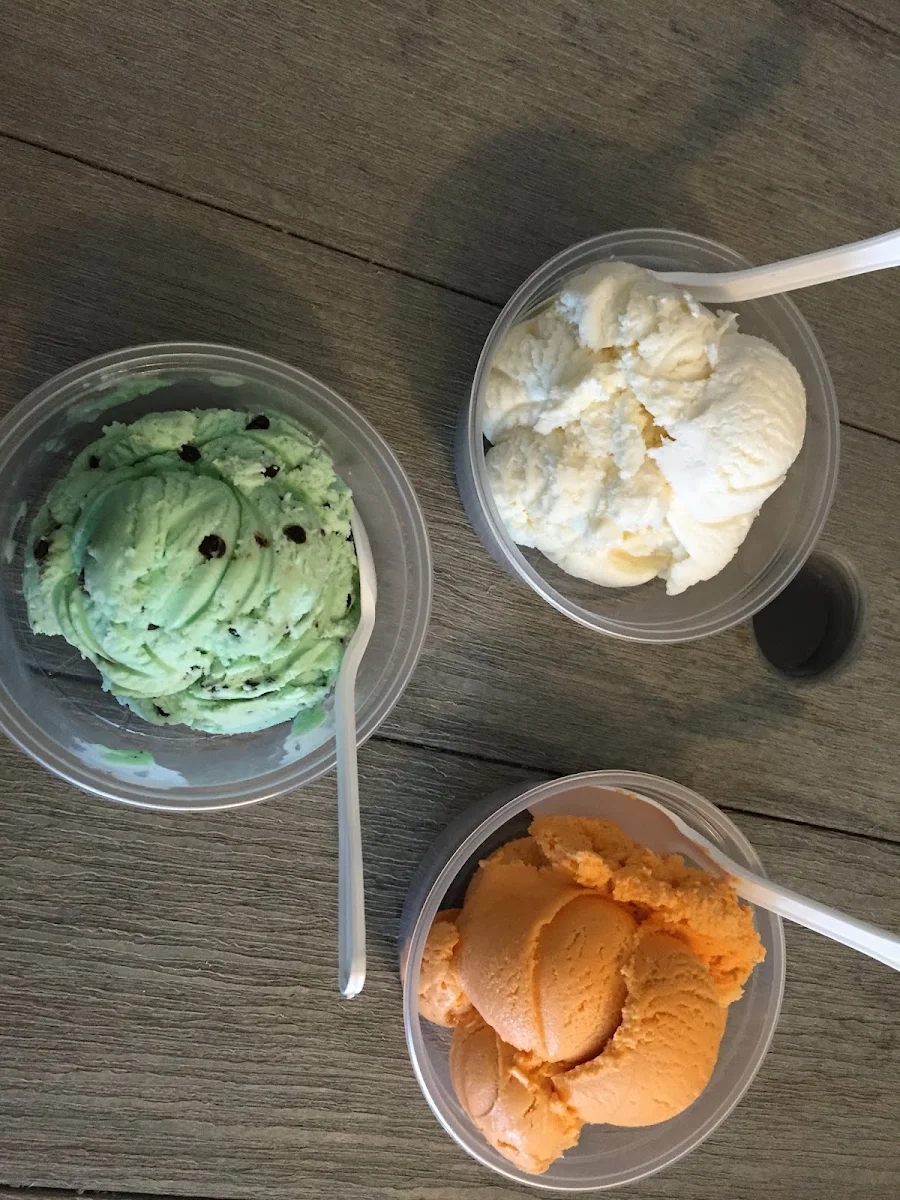 Mint Chocolate Ice Cream