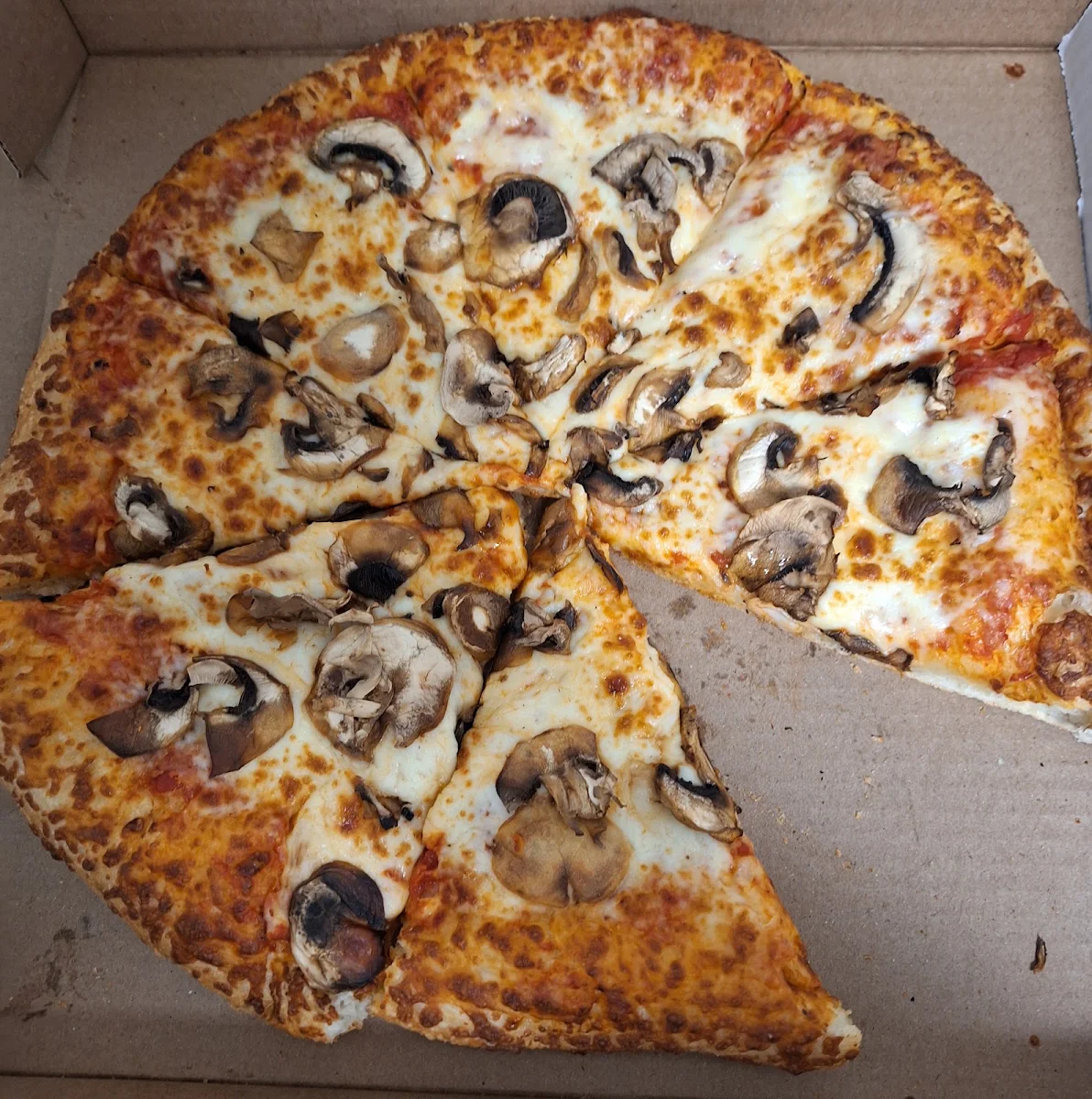 Mushroom Pizza