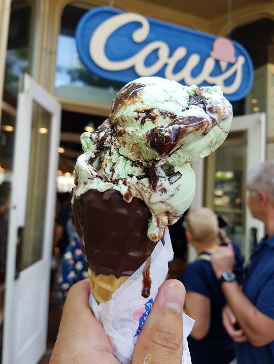 Mint Chocolate Ice Cream