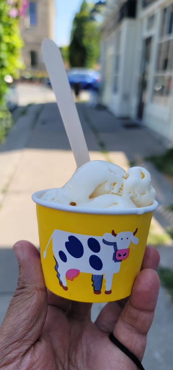 Vanilla Ice Cream