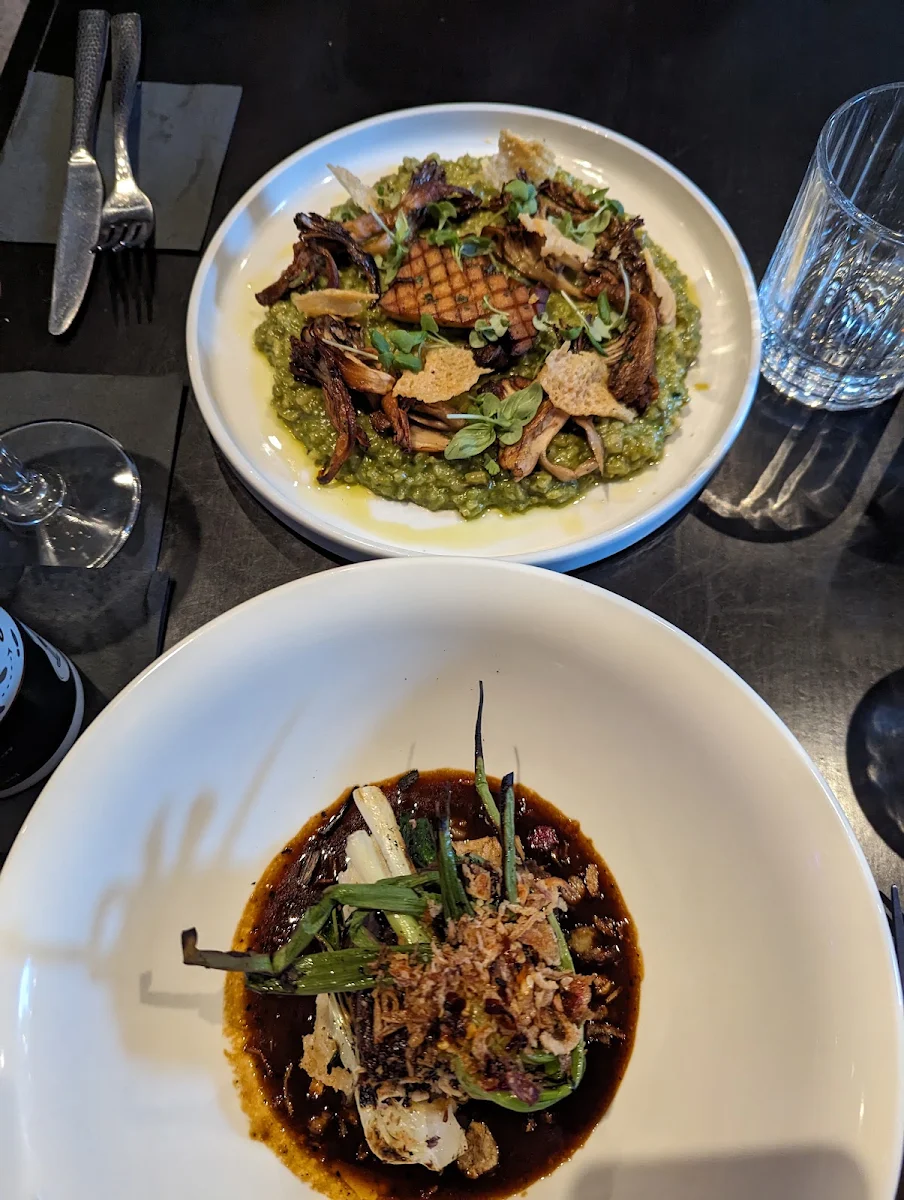 Short Ribs