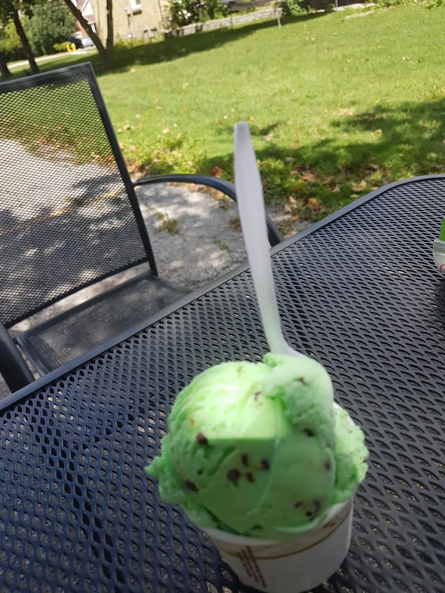Mint Chocolate Chip Ice Cream