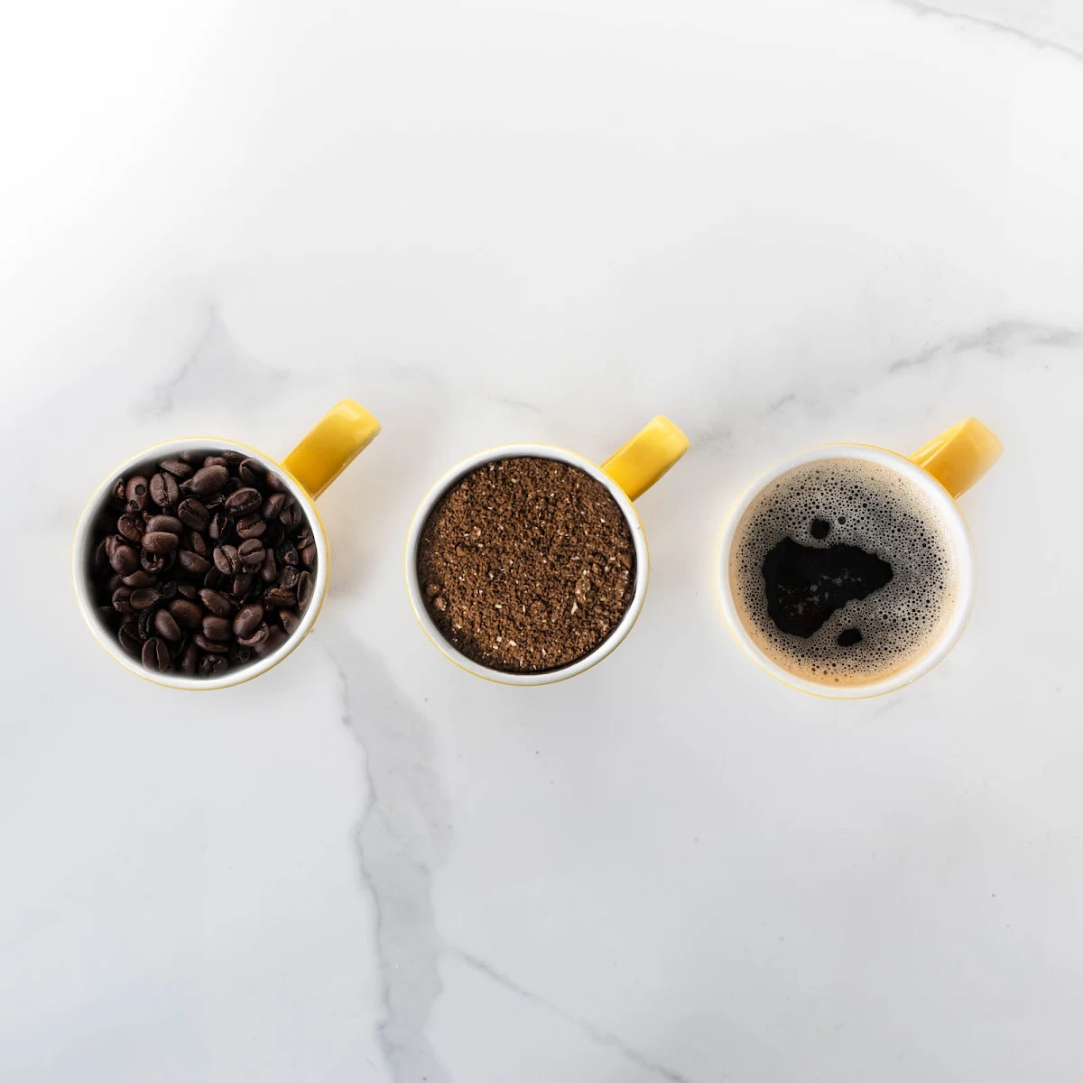 Highlights, Blenz Coffee