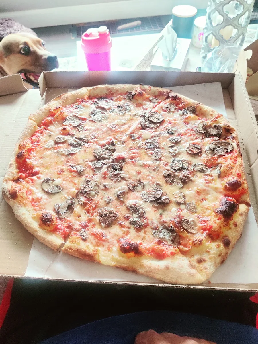 Mushroom Pizza