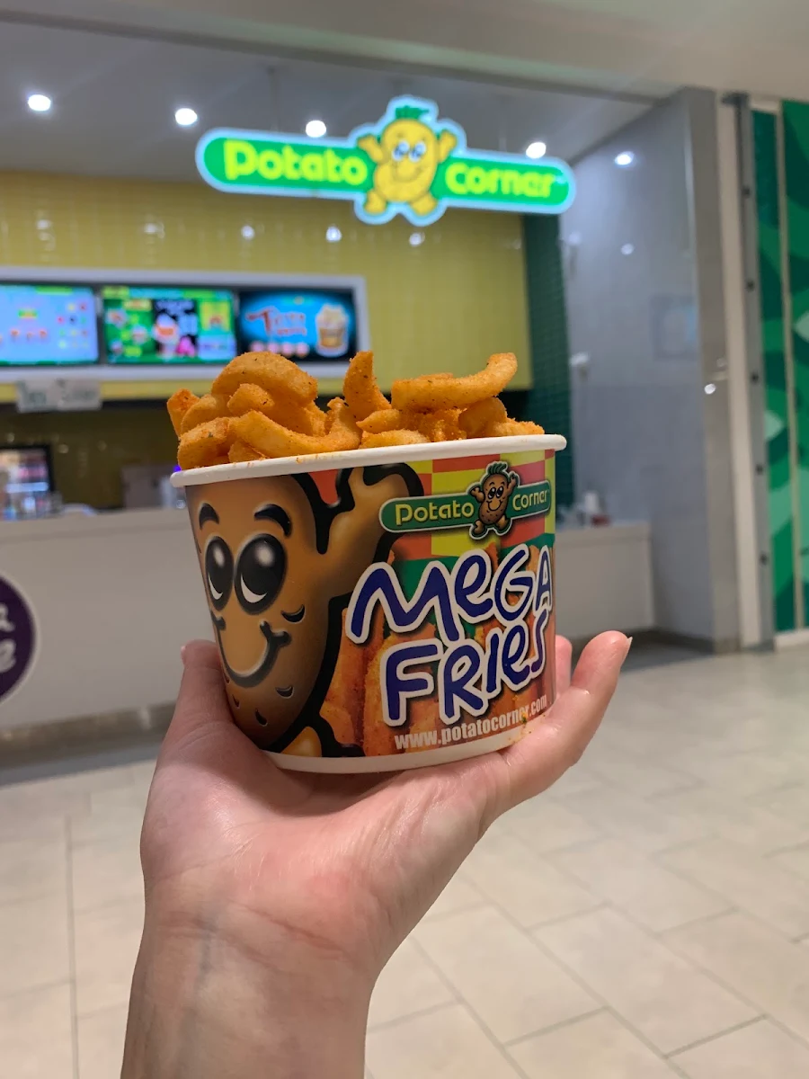 Curly Fries All Dressed